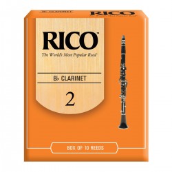 CONF. 10 ANCE RICO RCA 1020 CLARINO SIb 2